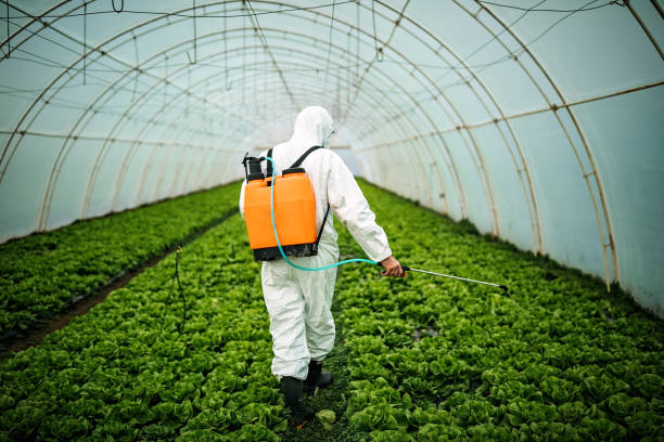 Best Local Pest Control Services  in Kure Beach, NC