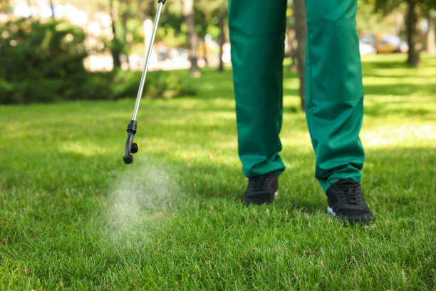 Best Termite Control Services  in Kure Beach, NC