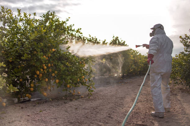 Insect Control in Kure Beach, NC