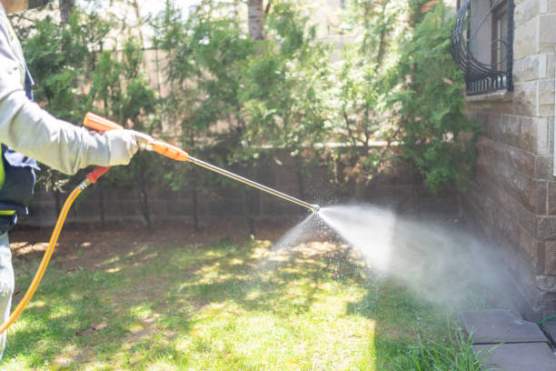 Best Best Pest Control Companies  in Kure Beach, NC