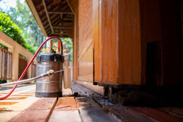 Best Affordable Pest Control Services  in Kure Beach, NC
