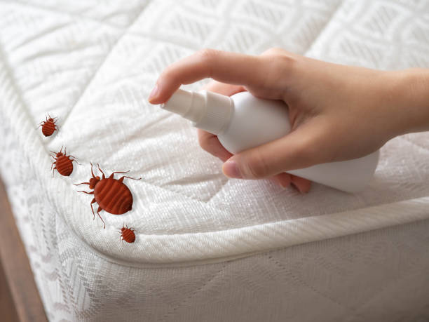 Kure Beach, NC Pest Control Company