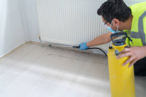 Best Affordable Pest Control Services  in Kure Beach, NC