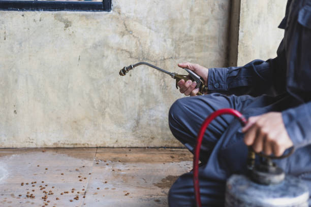 Best Pest Control for Restaurants  in Kure Beach, NC