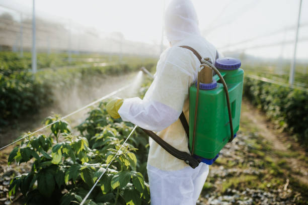 Best Mosquito Control Services  in Kure Beach, NC